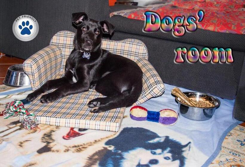 Trilly Bed & Breakfast