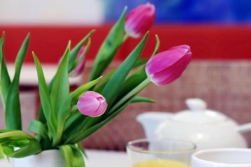 1st Creatif Hotel Elephant