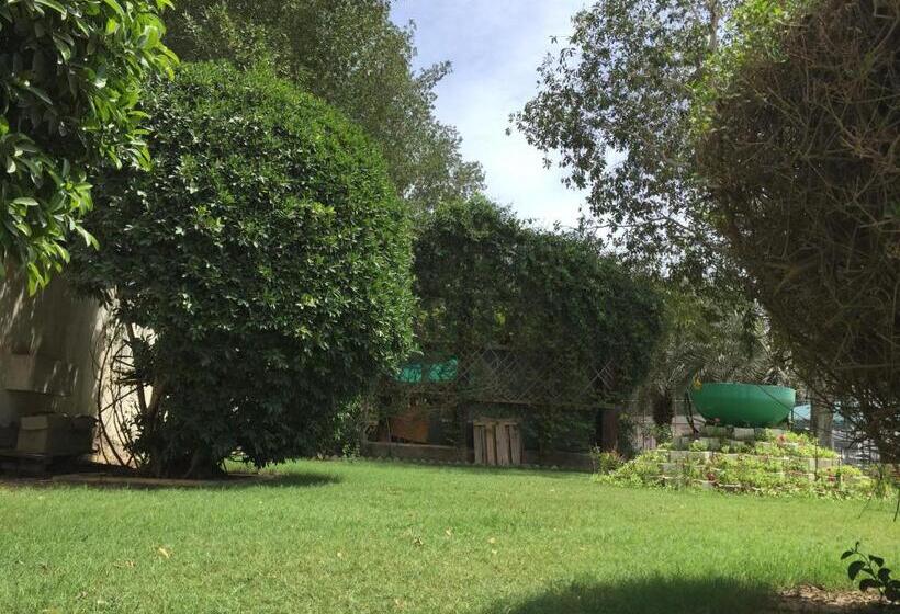 هتل Al Madinah Holiday