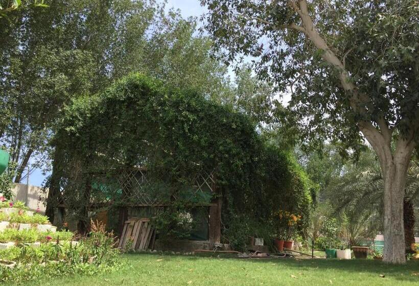 هتل Al Madinah Holiday