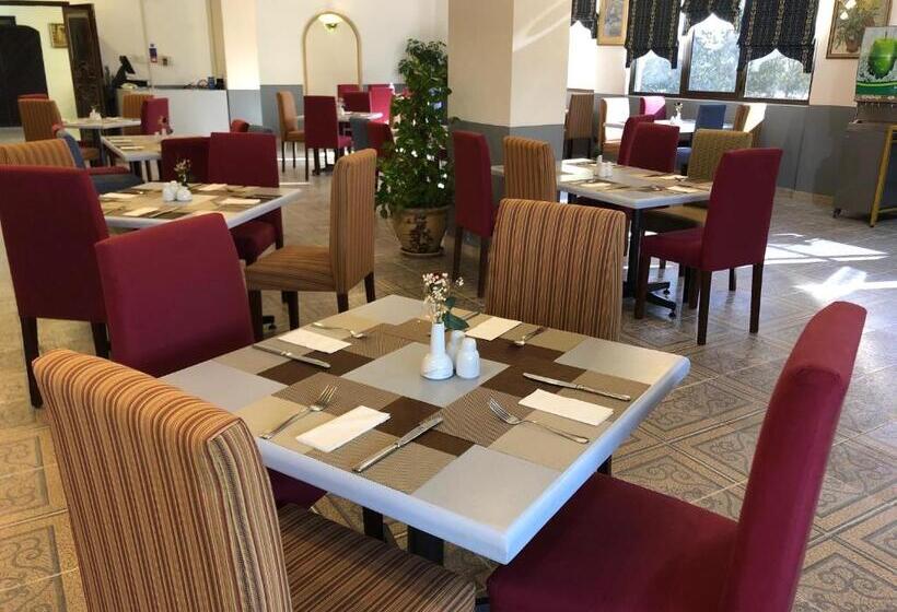 هتل Al Madinah Holiday