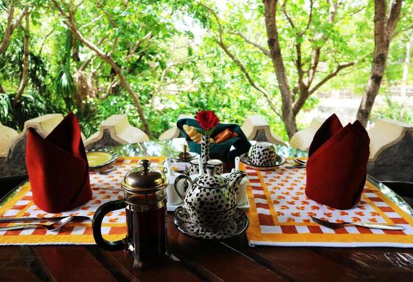 בית מלון כפרי Aodhi