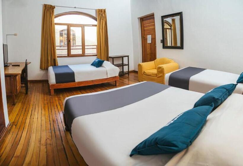 فندق Ayenda Posada San Juan