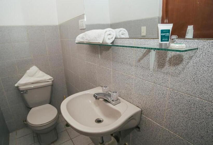 فندق Ayenda Posada San Juan