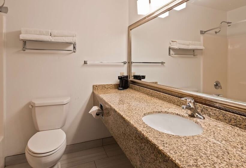 فندق Best Western Inn & Suites  Midway Airport