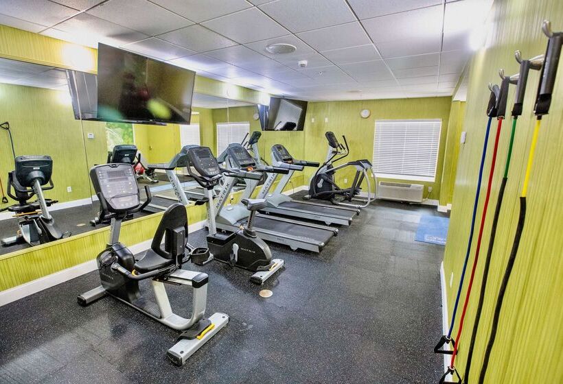 酒店 Best Western Plus Orlando Lake Buena Vista South Inn & Suites