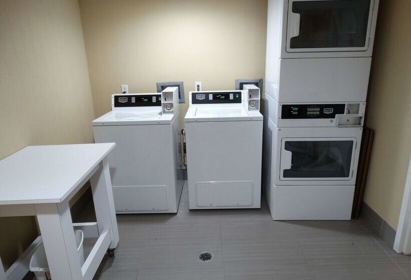 酒店 Best Western Plus Orlando Lake Buena Vista South Inn & Suites