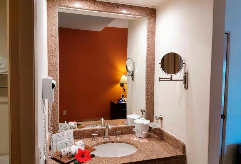 فندق Canto Del Sol Puerto Vallarta All Inclusive