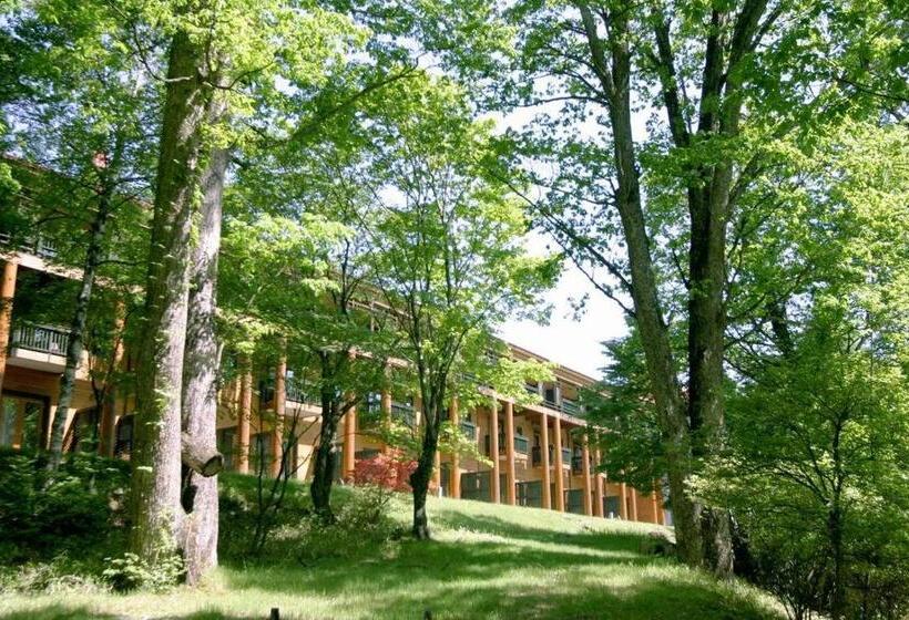 فندق Chuzenji Kanaya