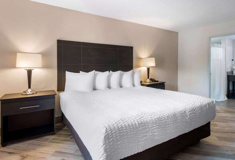 ホテル Clarion Inn & Suites Kissimmeelake Buena Vista South