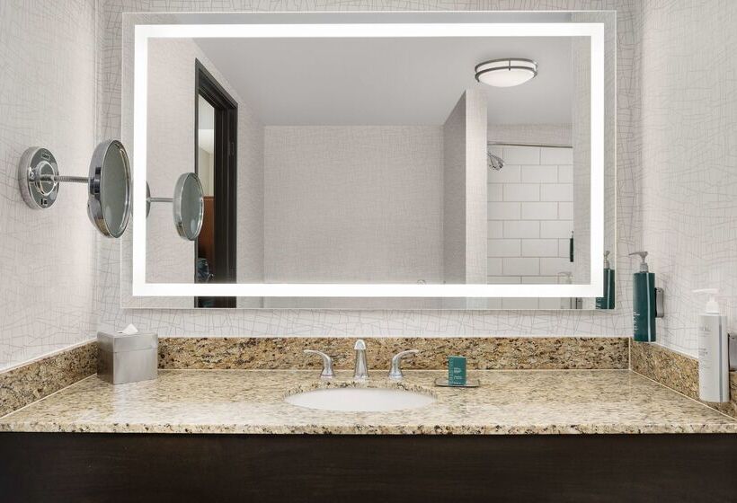 Отель Doubletree By Hilton Chicago O Hare Airport Rosemont