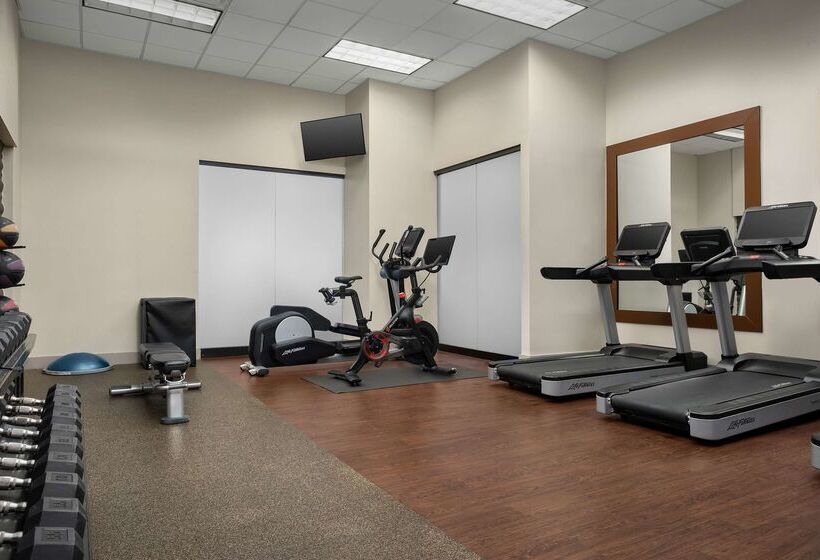 Отель Doubletree By Hilton Chicago O Hare Airport Rosemont