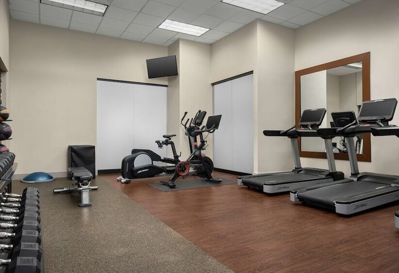 Отель Doubletree By Hilton Chicago O Hare Airport Rosemont