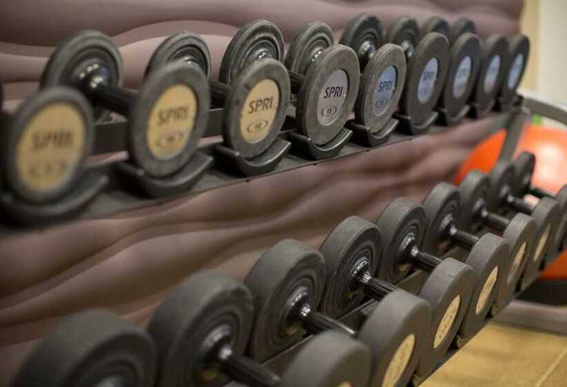 Отель Doubletree By Hilton Chicago O Hare Airport Rosemont