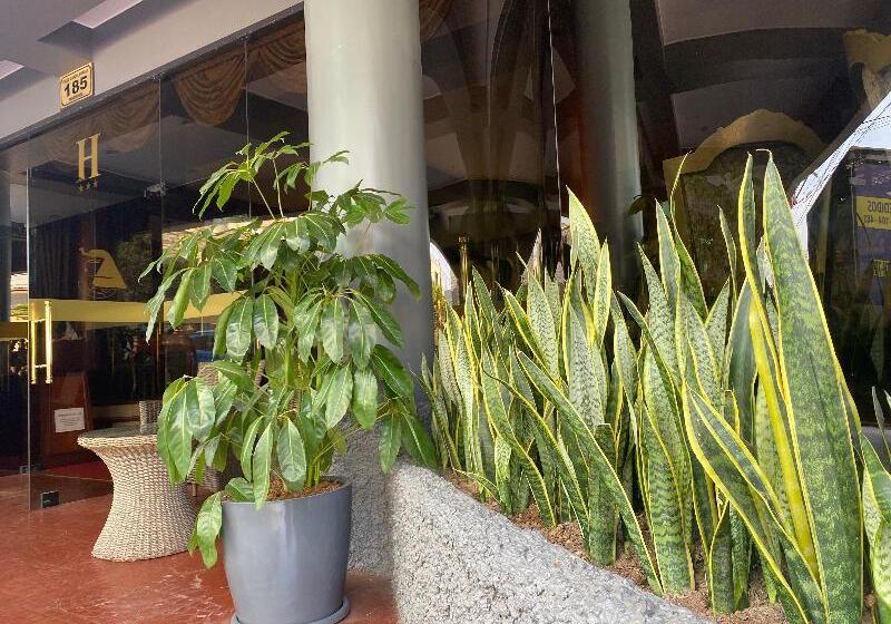 Отель Faraona Grand