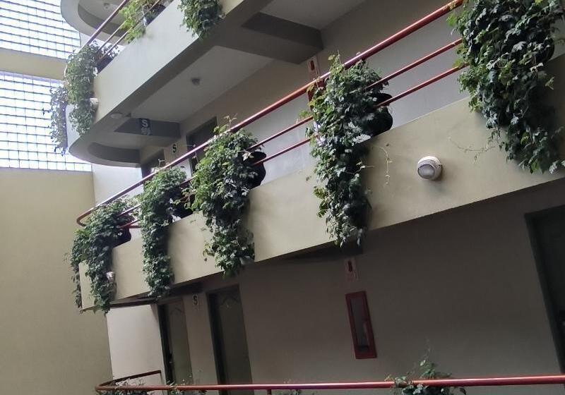 Отель Faraona Grand