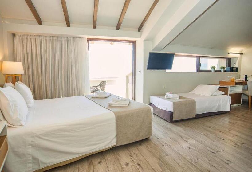 فندق Fedriades Delphi