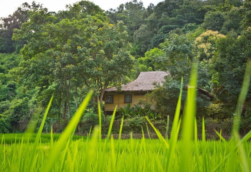 Отель Hmong Hilltribe Lodge