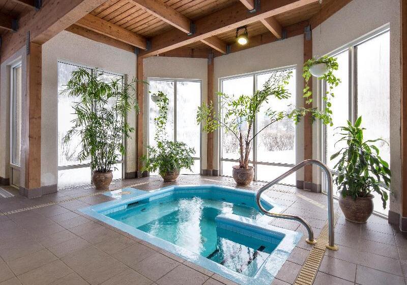 酒店 Holiday Inn Montreal Longueuil, An Ihg