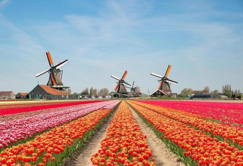 בית מלון כפרי Holiday Inn The Hague   Voorburg, An Ihg