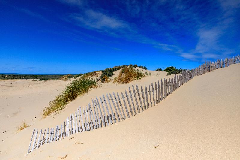 בית מלון כפרי Holiday Inn The Hague   Voorburg, An Ihg