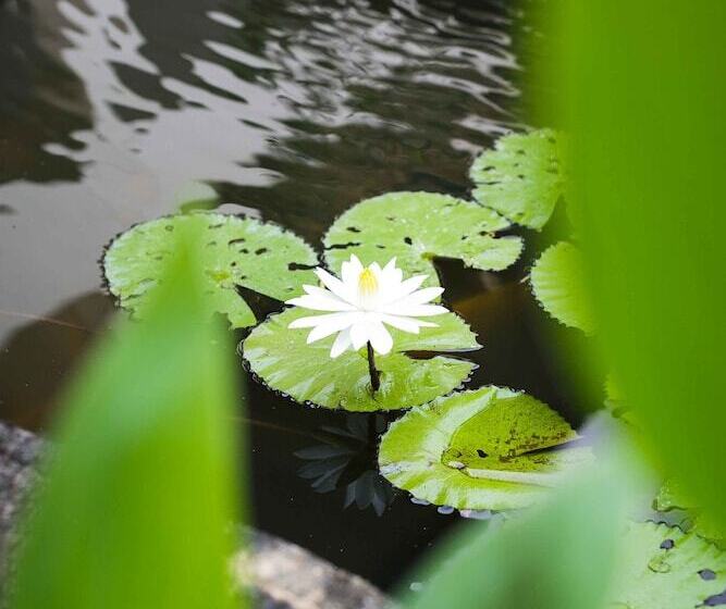 ホテル Legian Paradiso