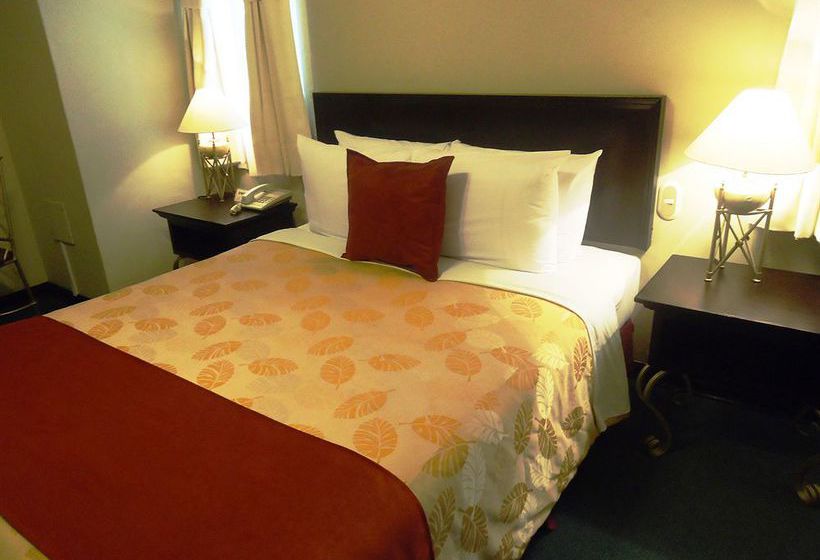 Отель Leon De Oro Inn & Suites