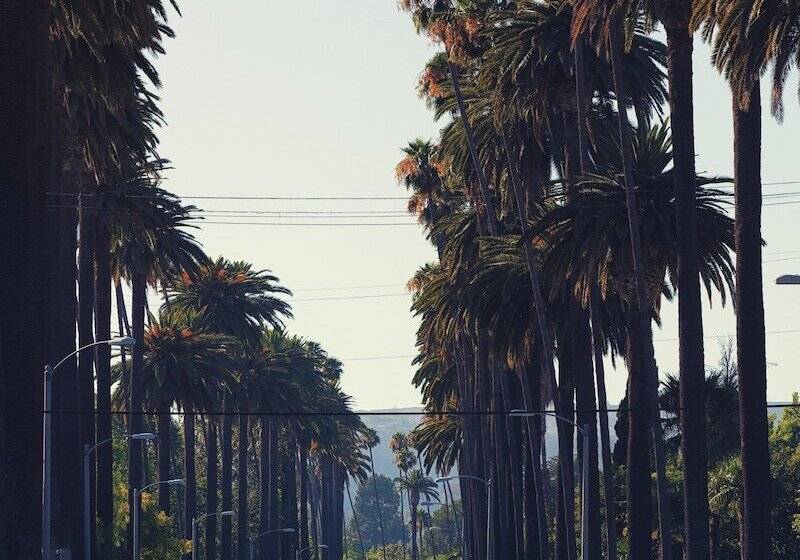 فندق Loews Hollywood