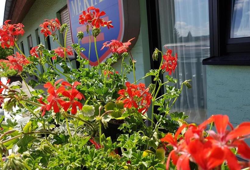 فندق Merian Rothenburg