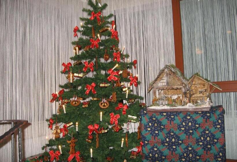 فندق Merian Rothenburg