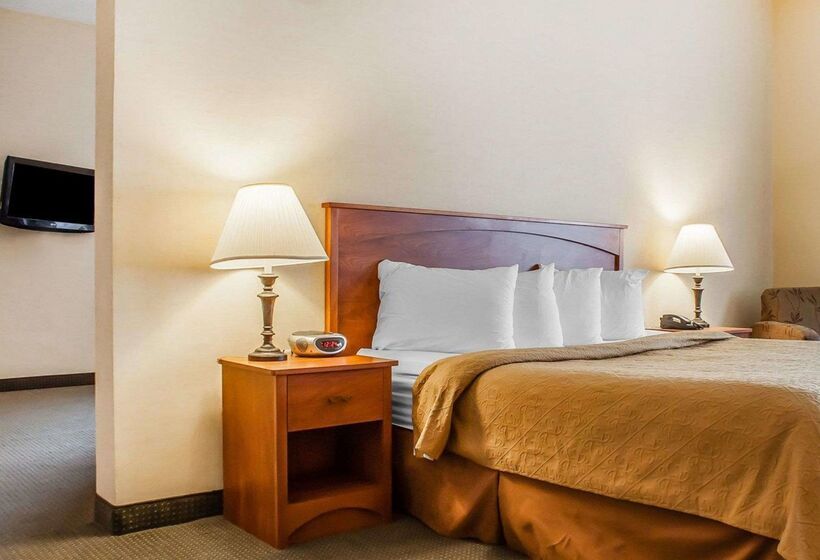 Quality Hotel & Suites At The Falls