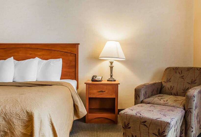 Quality Hotel & Suites At The Falls