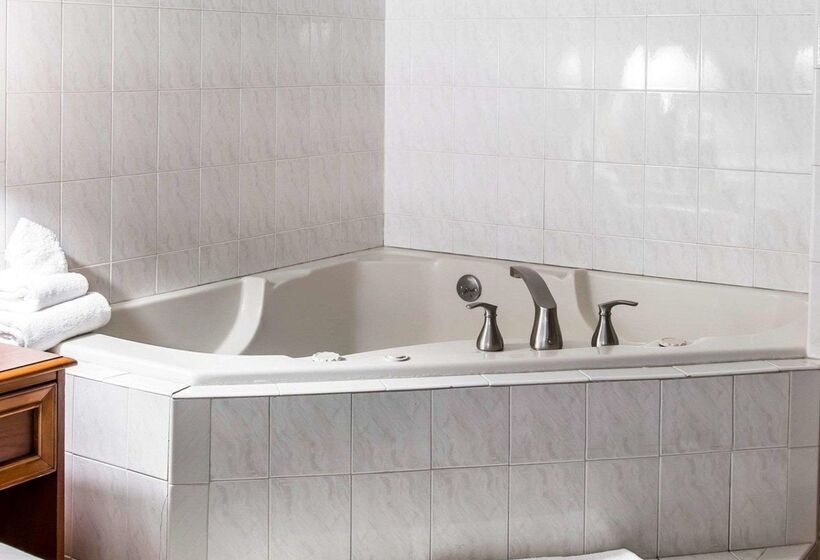 فندق Quality Inn