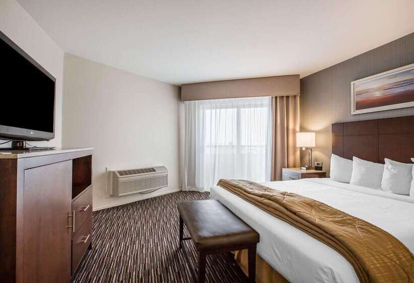 فندق Quality Inn & Suites Hermosa Beach