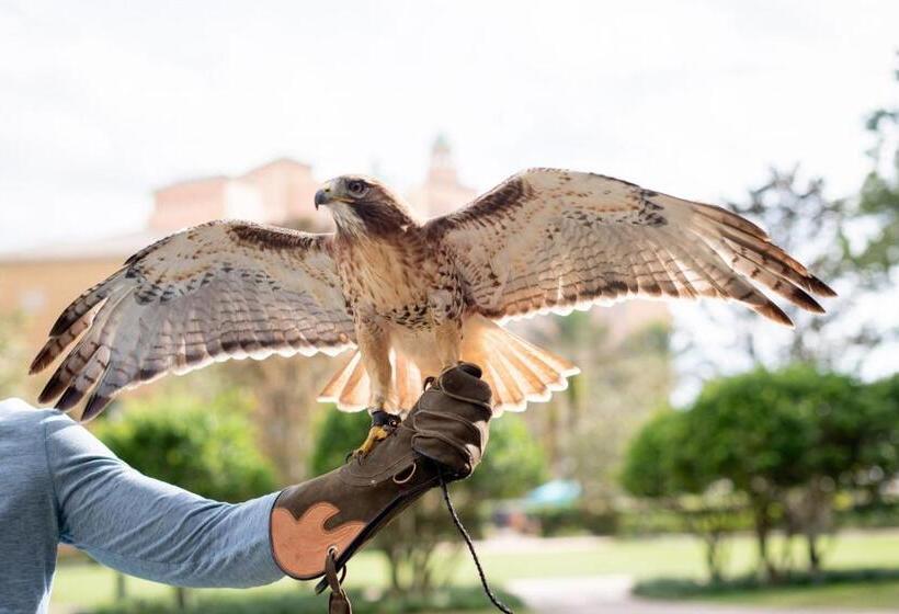 ホテル The Ritzcarlton Orlando, Grande Lakes