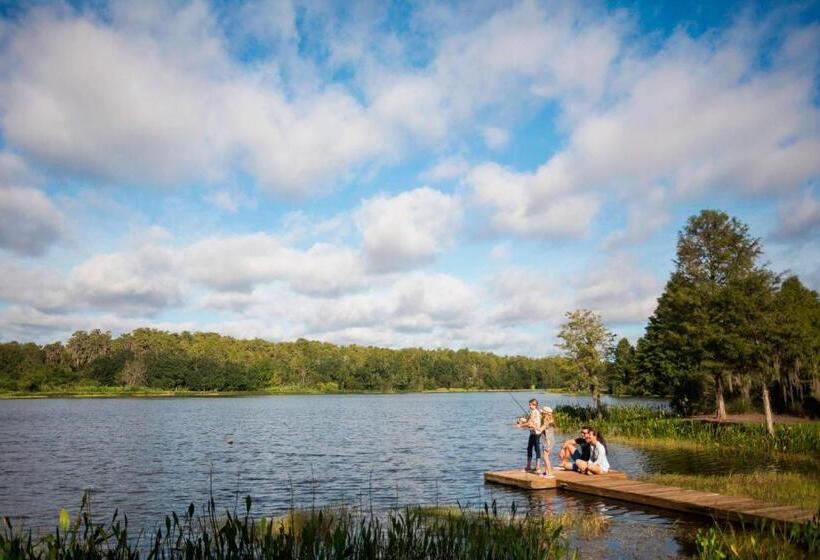 ホテル The Ritzcarlton Orlando, Grande Lakes