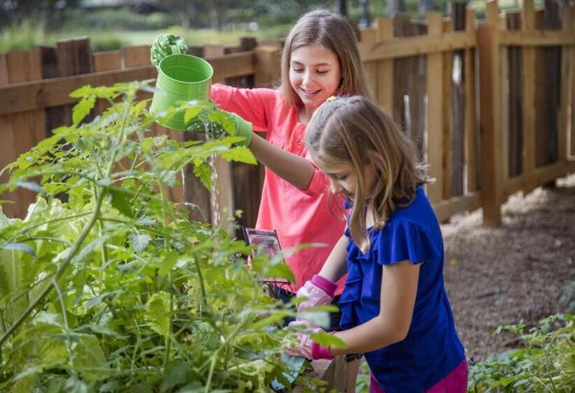 ホテル The Ritzcarlton Orlando, Grande Lakes