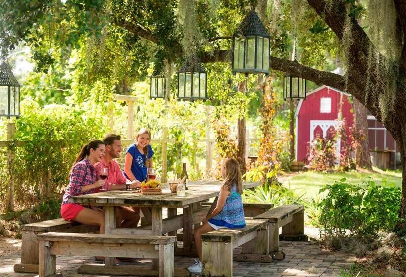 ホテル The Ritzcarlton Orlando, Grande Lakes