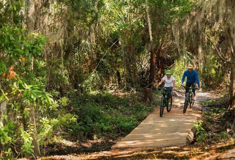 ホテル The Ritzcarlton Orlando, Grande Lakes