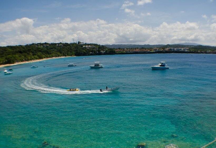 Отель Victorian House