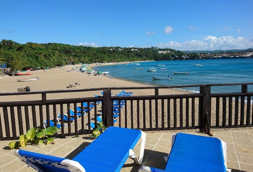 Отель Victorian House