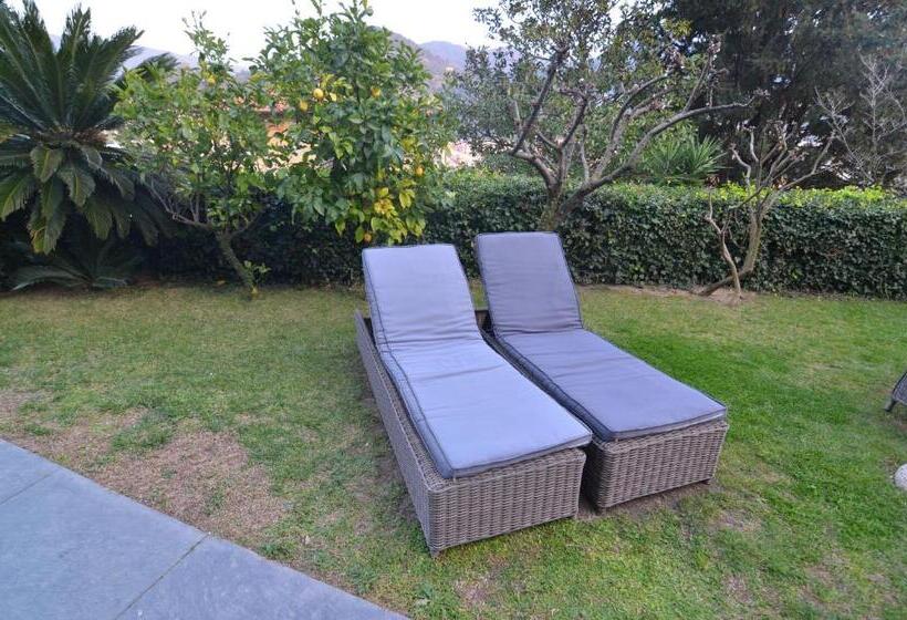 فندق Villa Margherita