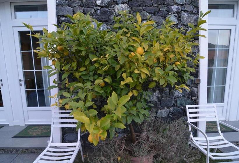 酒店 Villa Margherita