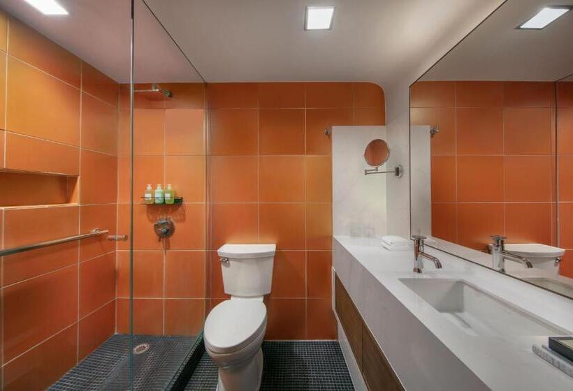 هتل De La Poste – French Quarter, A Renaissance