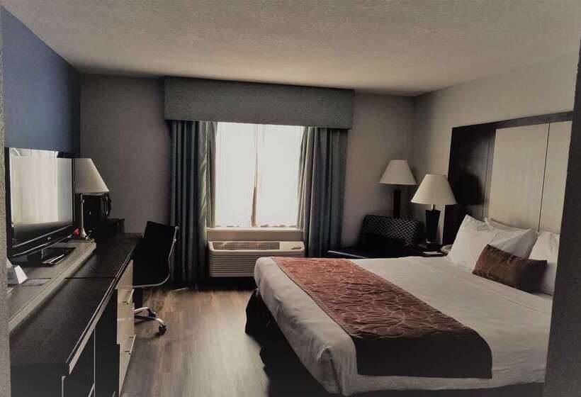 Wyndham Garden Hotel   Jacksonville