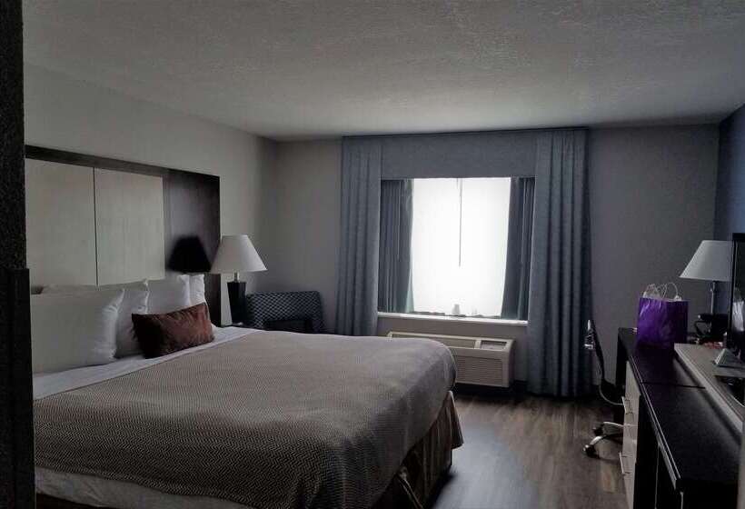 Wyndham Garden Hotel   Jacksonville