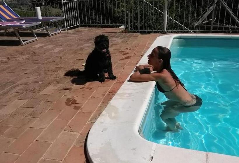 צימר Casale Civetta