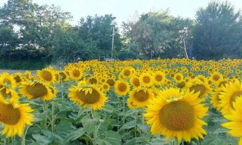 צימר Casale Civetta