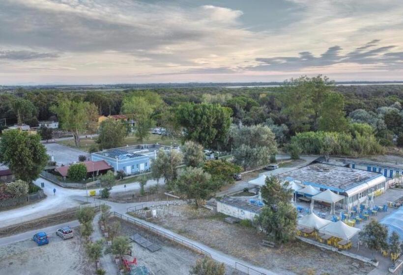 Bed and Breakfast Il Sole Nel Mare   Lido Di Volano