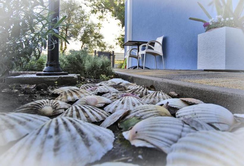 مبيت وإفطار Il Sole Nel Mare   Lido Di Volano